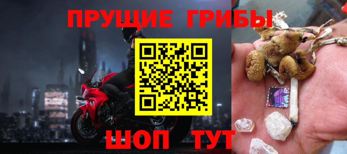 Псилоцибиновые грибы Psilocybine cubensis  Вход с VPN  Псилоцибиновые грибы Psilocybine cubensis  Пугачёв 